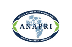 Indaba Agricultural Policy Research Institute