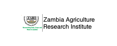 Indaba Agricultural Policy Research Institute