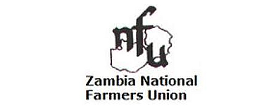 Indaba Agricultural Policy Research Institute